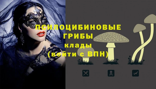 ALPHA-PVP Остров