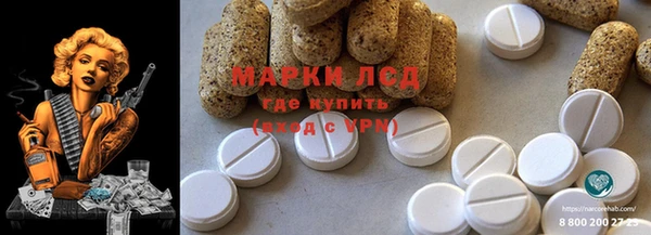 дурь Осташков